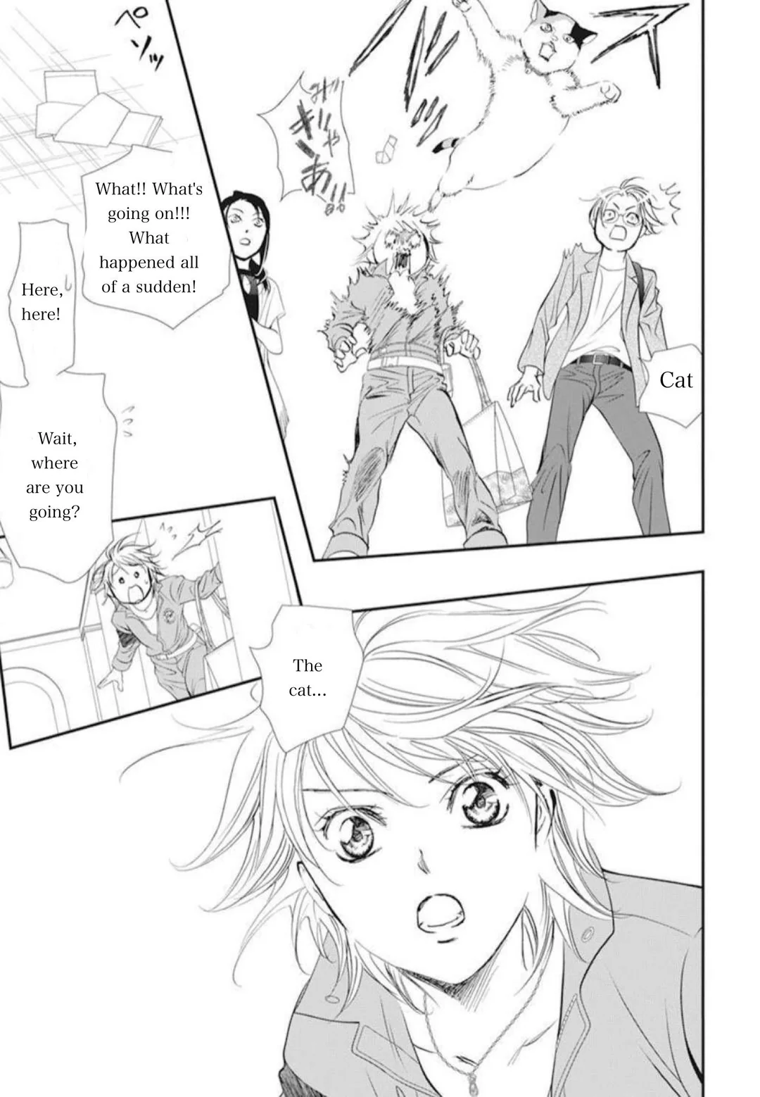 Page 17 of Chapter 315