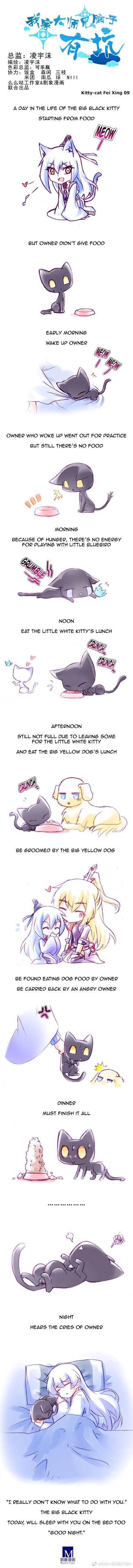 Page 1 of Chapter 236.5