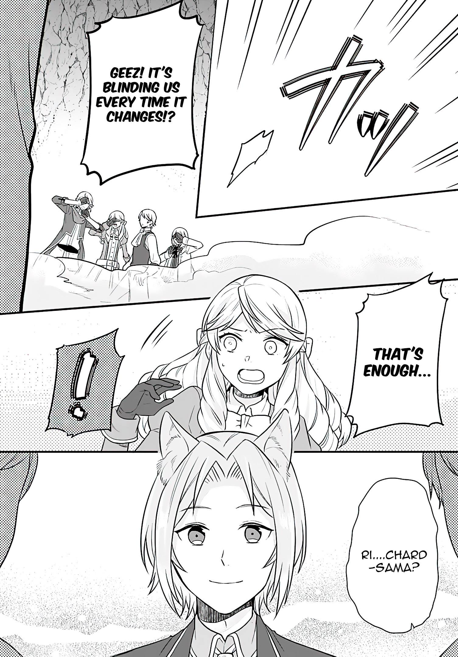 Page 21 of Chapter 17
