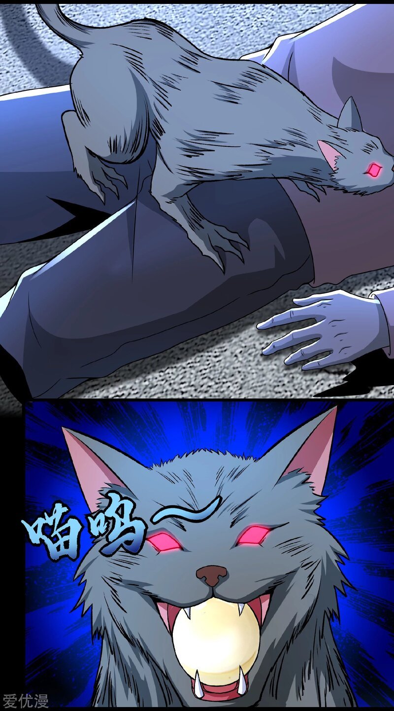 Page 3 of Chapter 293