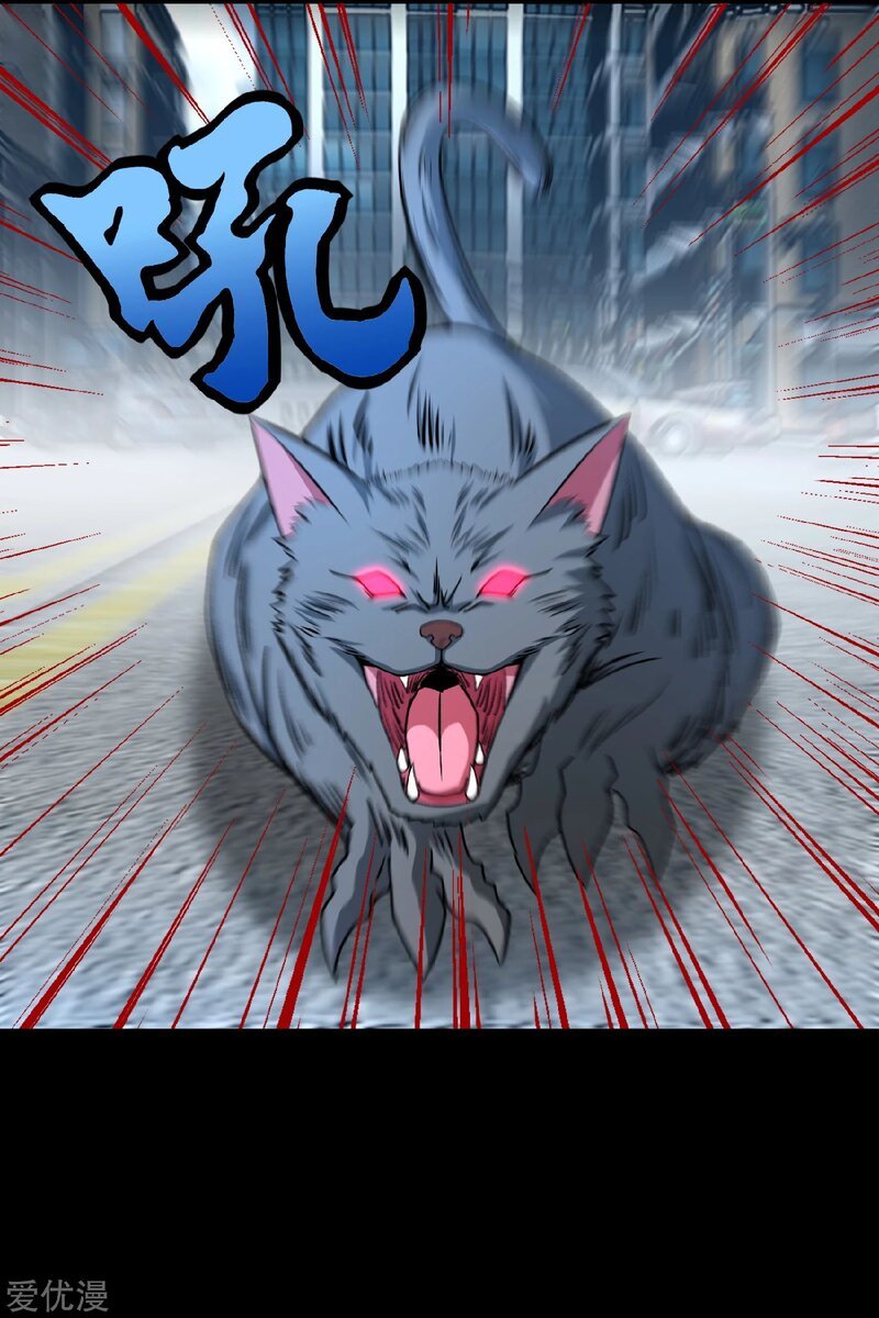 Page 5 of Chapter 293