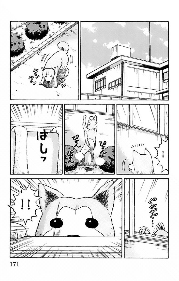 Page 19 of Chapter 6