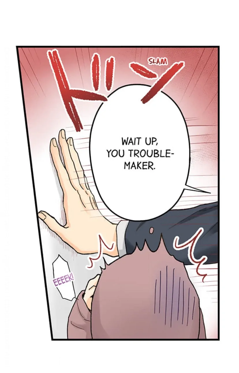 Page 29 of Chapter 204