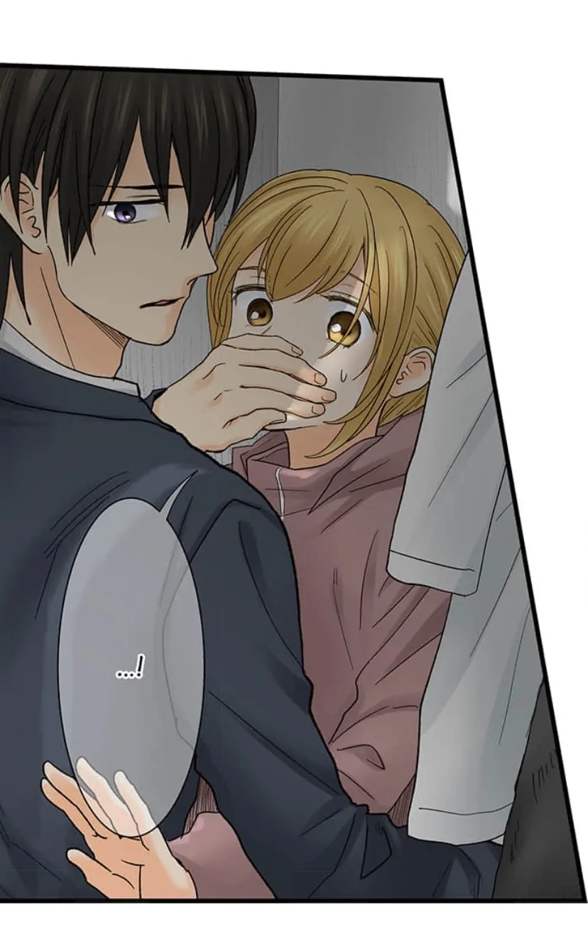 Page 42 of Chapter 204