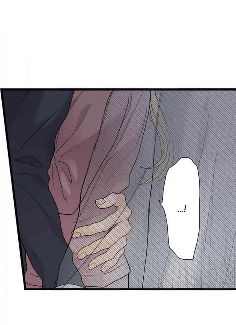 Page 17 of Chapter 205