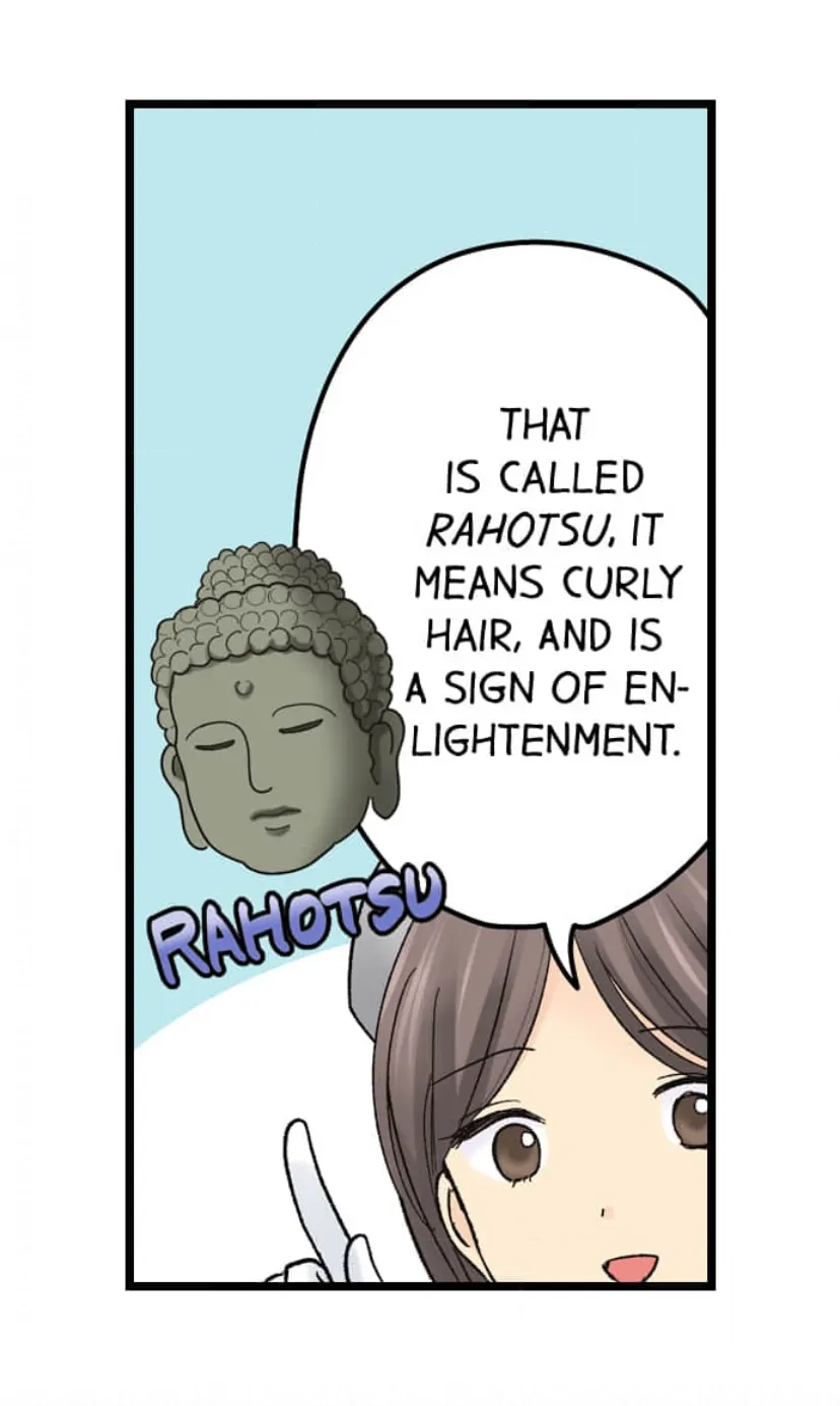 Page 6 of Chapter 208