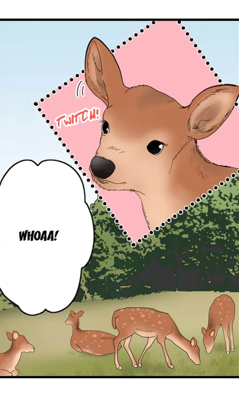 Page 26 of Chapter 208