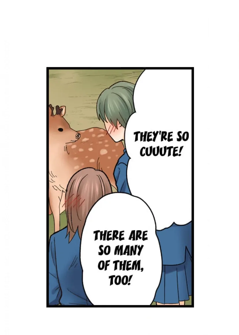 Page 27 of Chapter 208