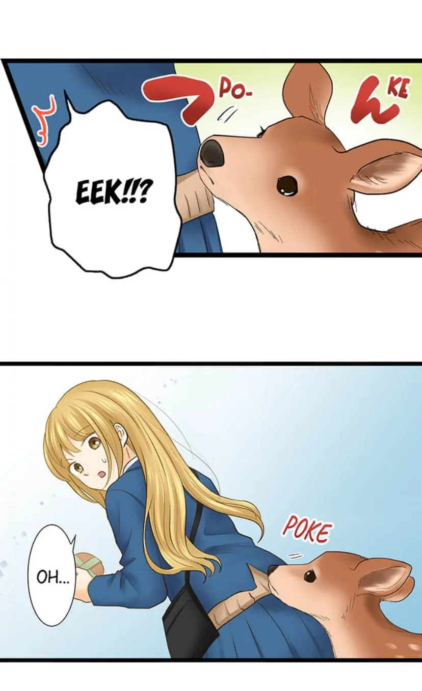 Page 9 of Chapter 209