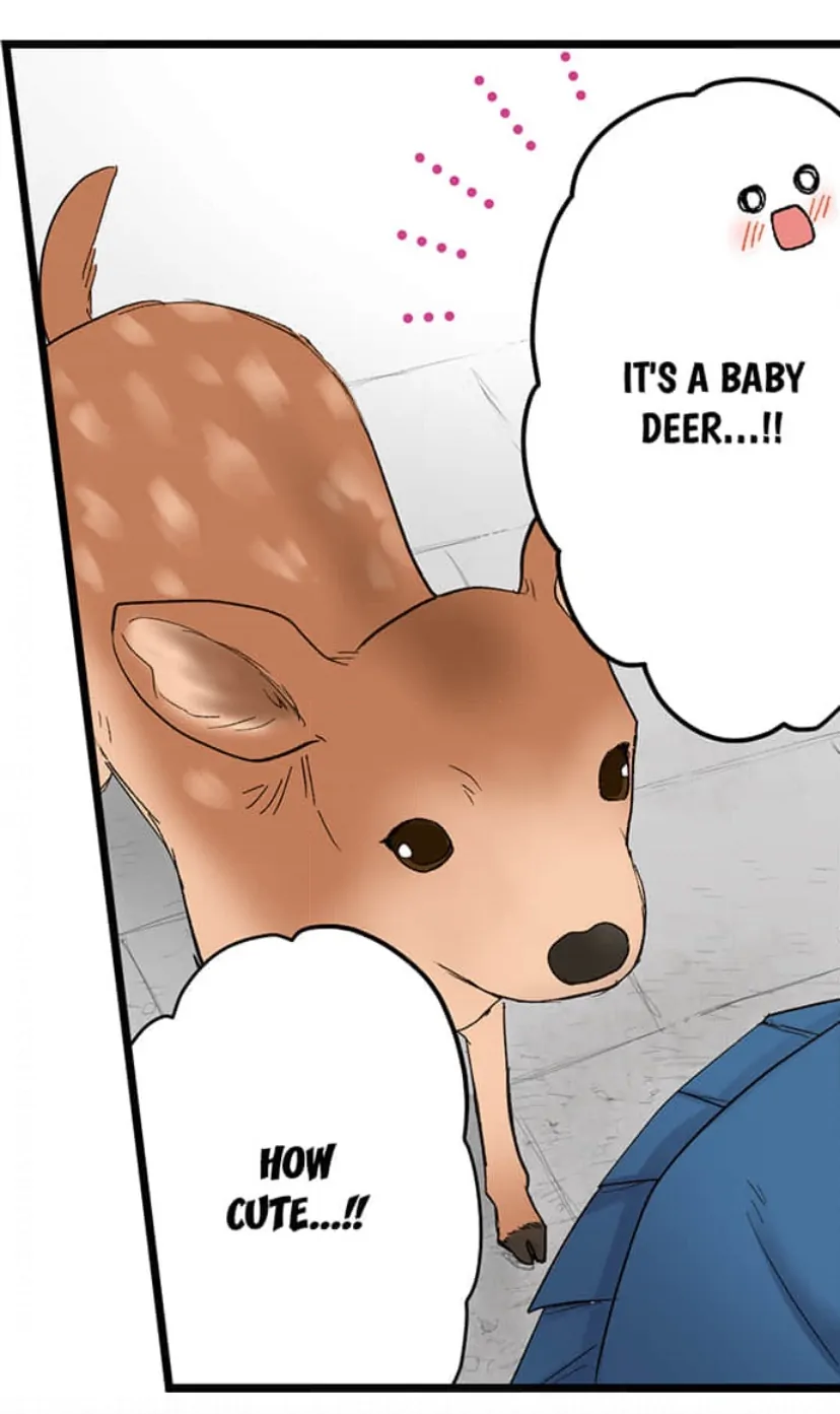 Page 10 of Chapter 209