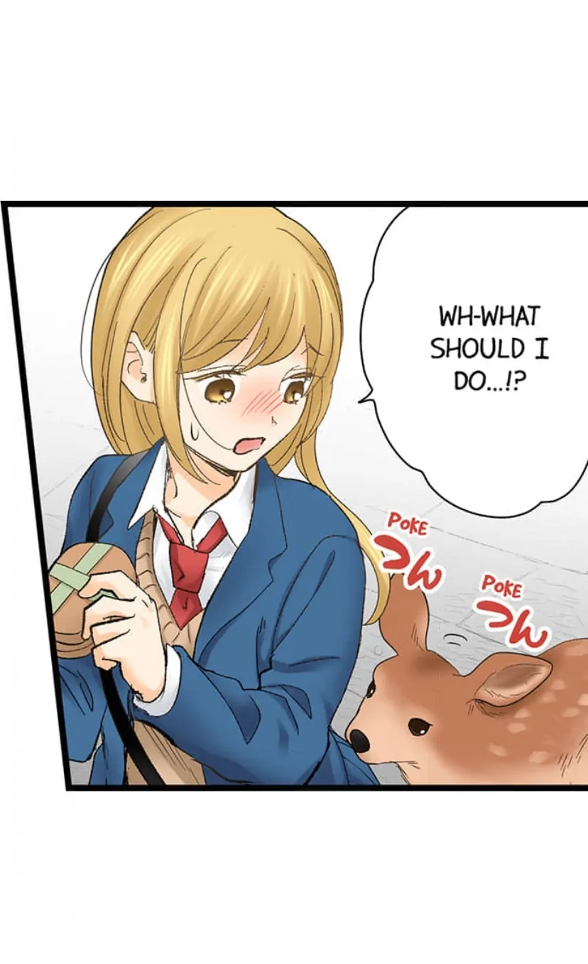 Page 12 of Chapter 209