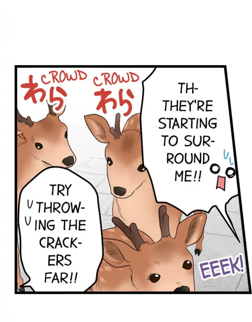 Page 13 of Chapter 209