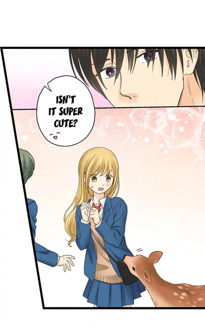 Page 24 of Chapter 209