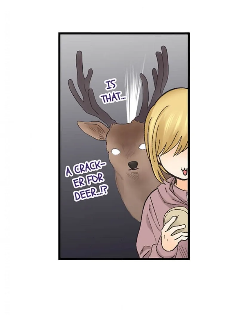 Page 14 of Chapter 212