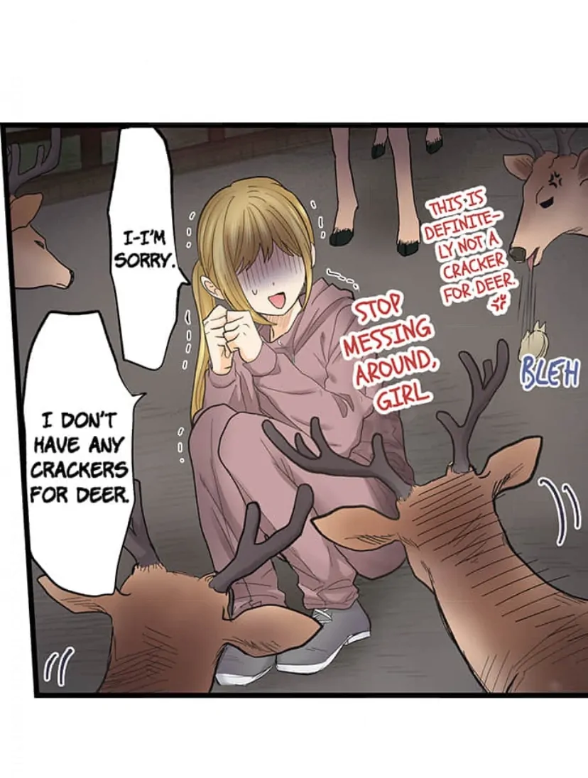 Page 17 of Chapter 212
