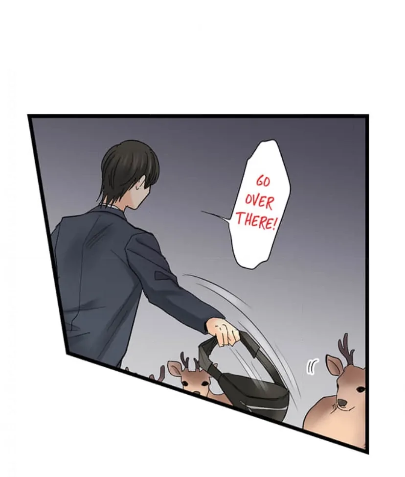 Page 20 of Chapter 212
