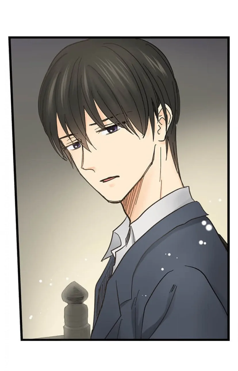 Page 13 of Chapter 213
