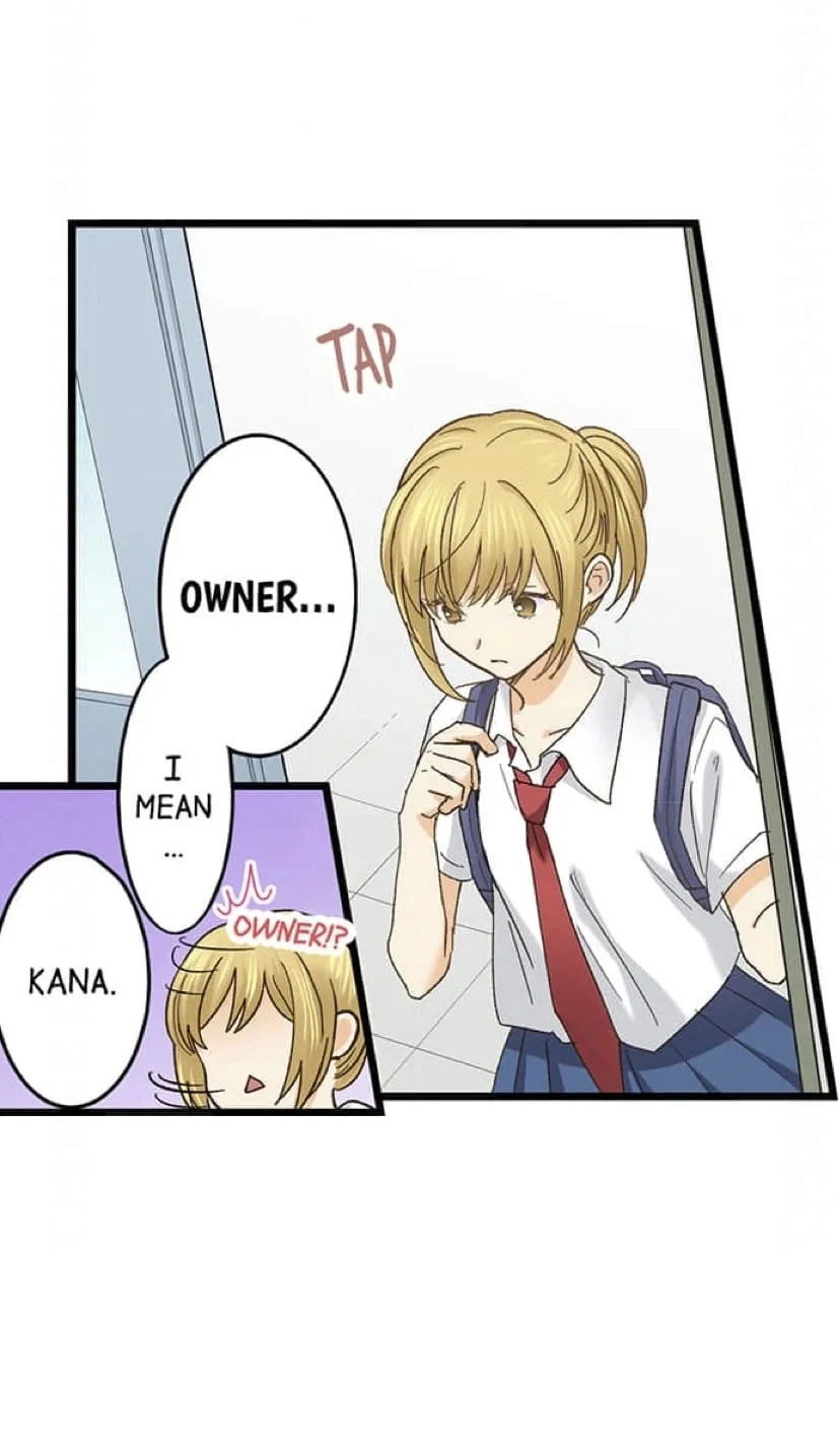 Page 3 of Chapter 229