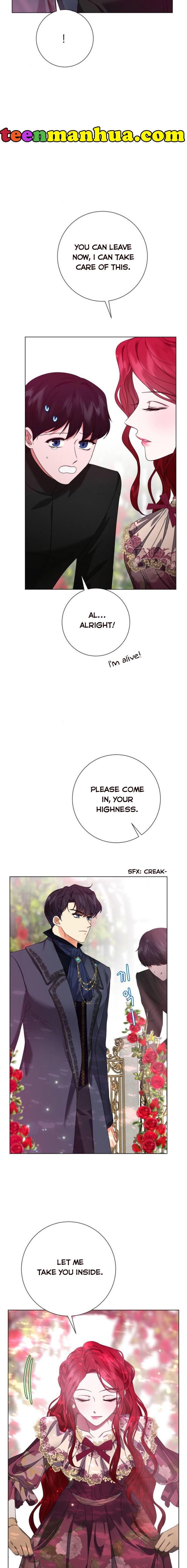 Page 17 of Chapter 11
