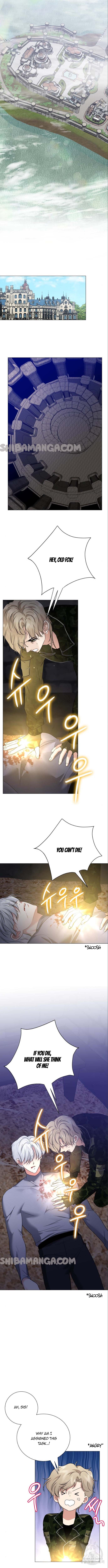 Page 6 of Chapter 117