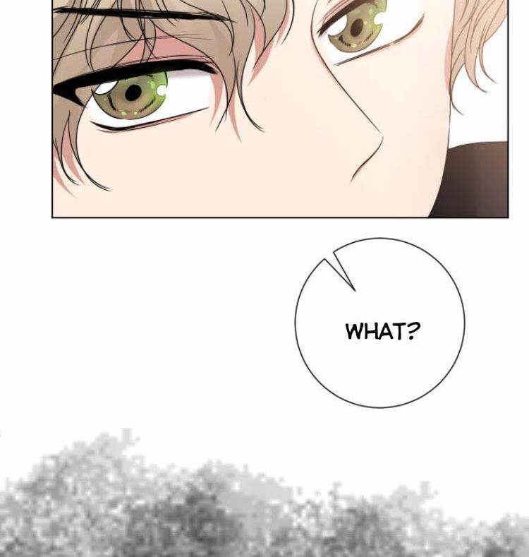 Page 77 of Chapter 13