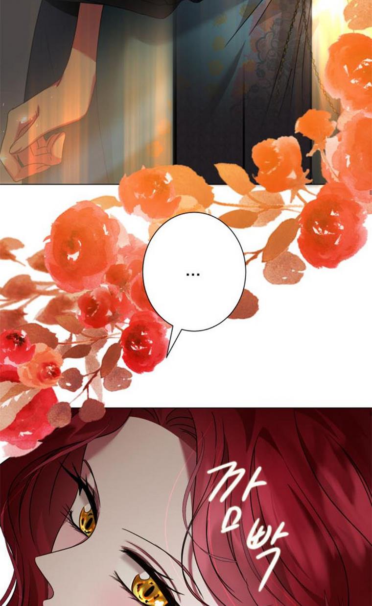 Page 19 of Chapter 24