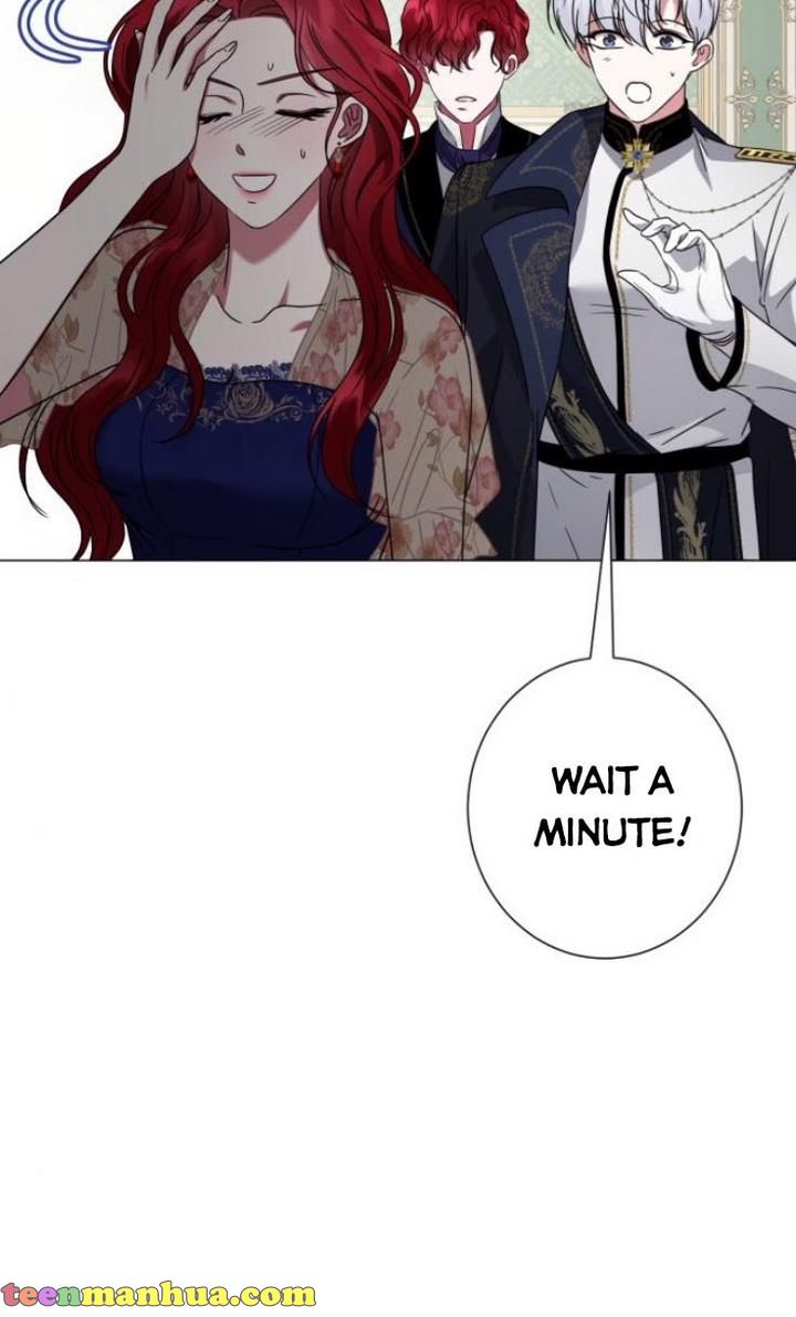 Page 66 of Chapter 28