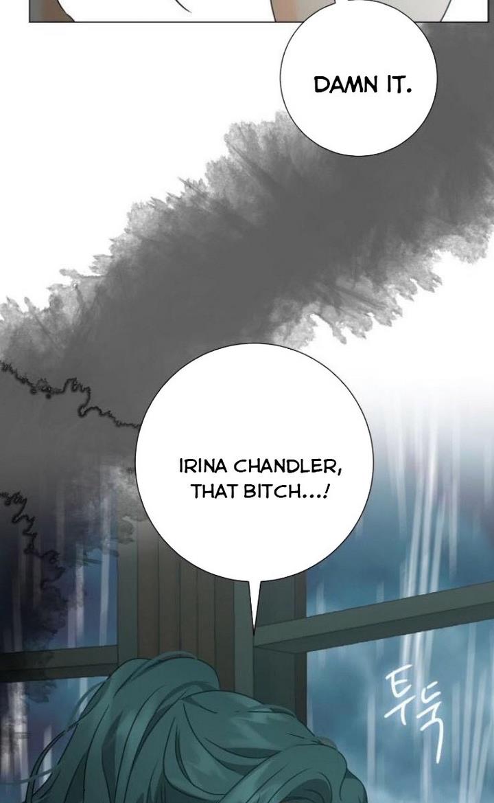 Page 20 of Chapter 29