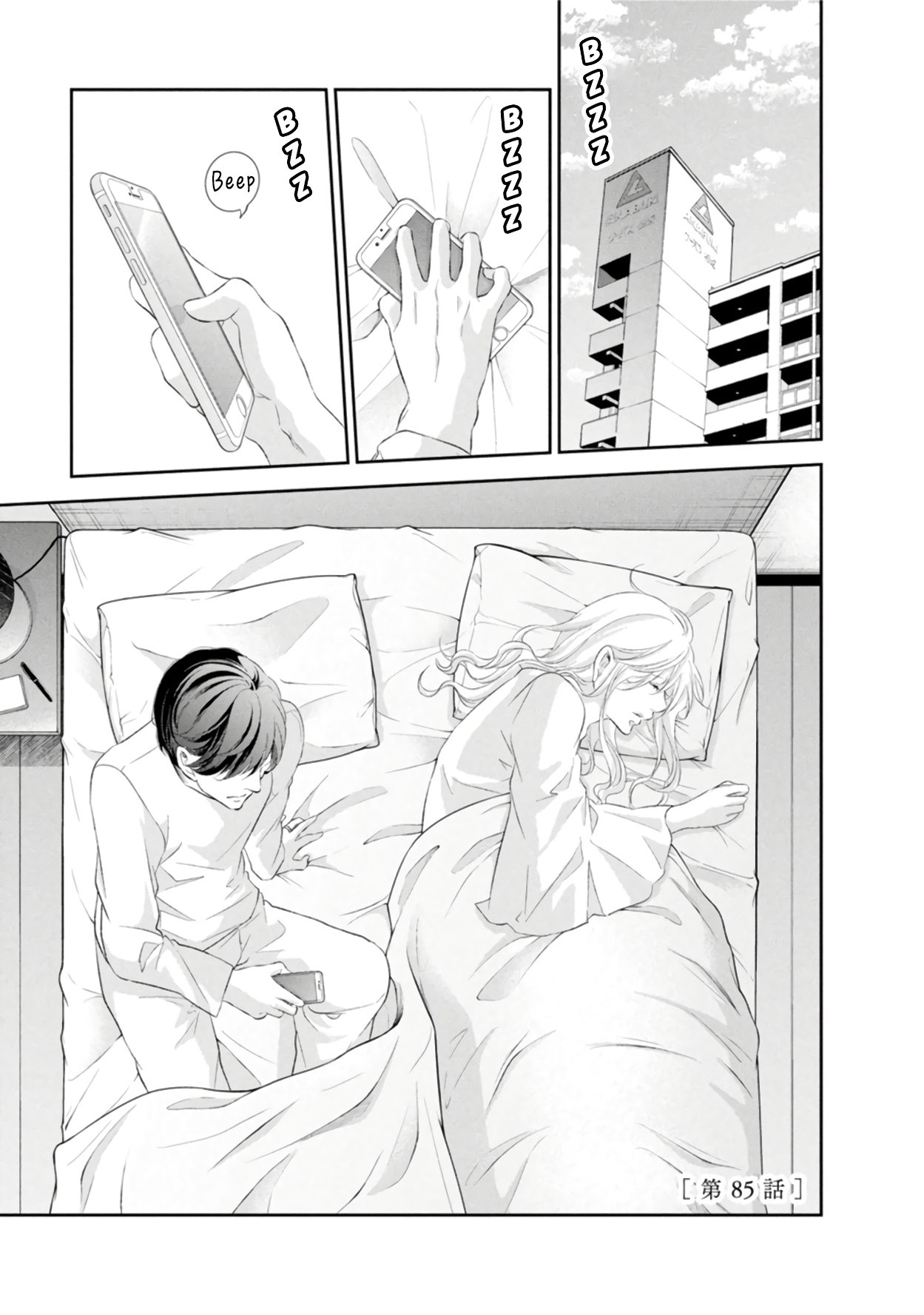 Page 2 of Chapter 85