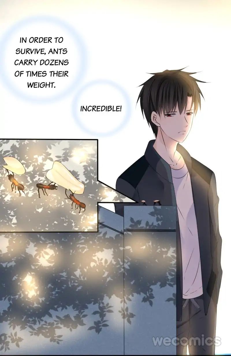 Page 6 of Chapter 29