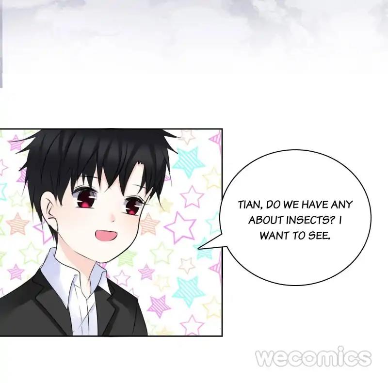 Page 29 of Chapter 65