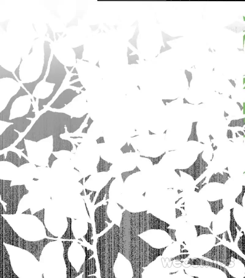 Page 44 of Chapter 66