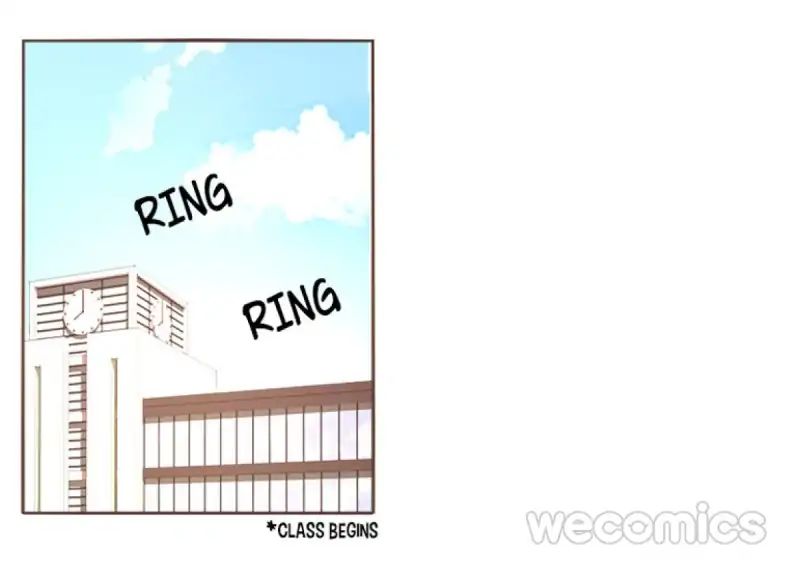 Page 19 of Chapter 8