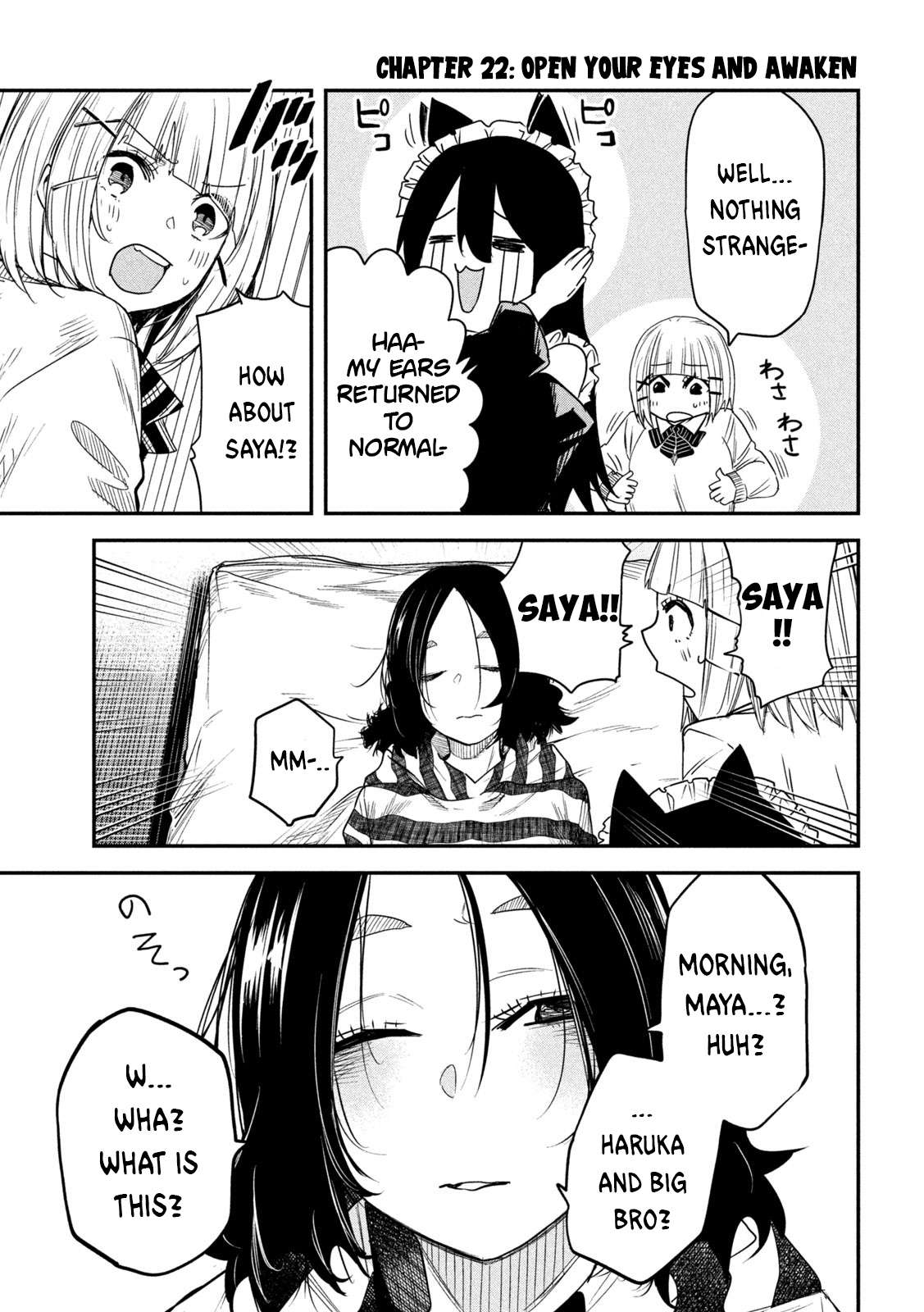 Page 4 of Chapter 22