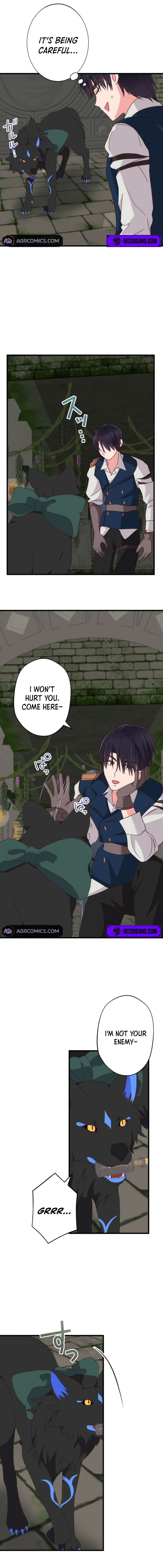 Page 12 of Chapter 8