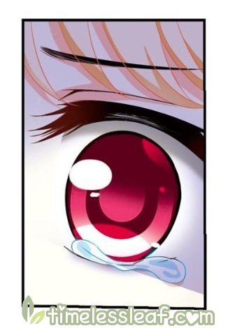 Page 6 of Chapter 132.8