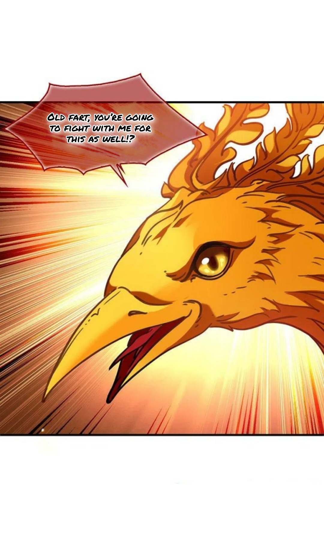 Page 13 of Chapter 153