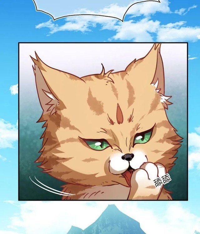 Page 13 of Chapter 310.5
