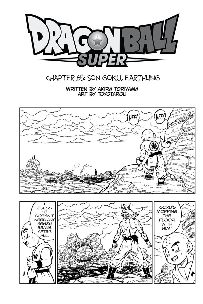Page 1 of Chapter 65