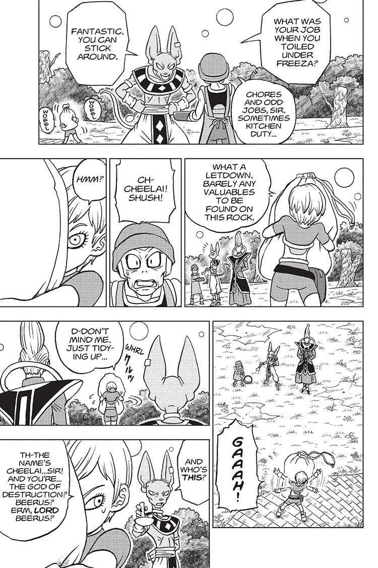 Page 13 of Chapter 93