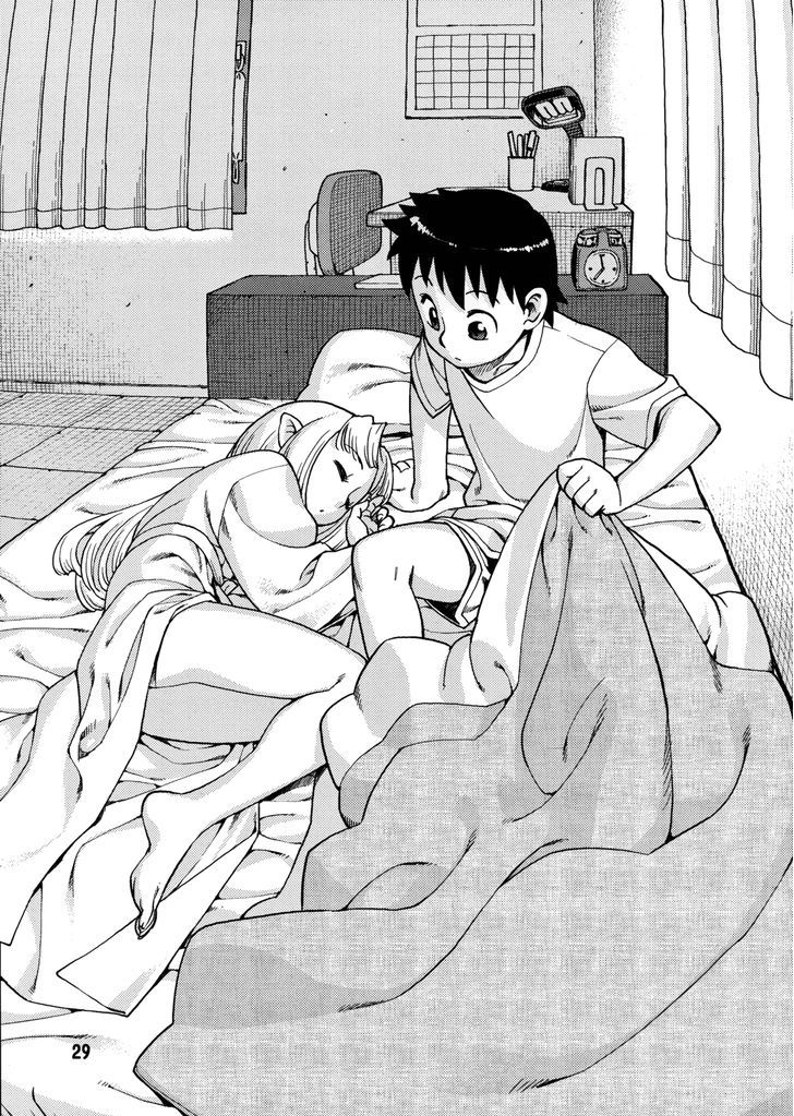 Page 29 of Chapter 0