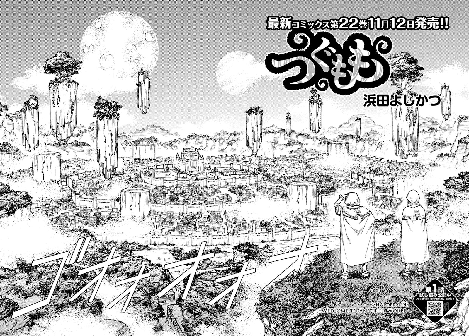Page 3 of Chapter 114.1