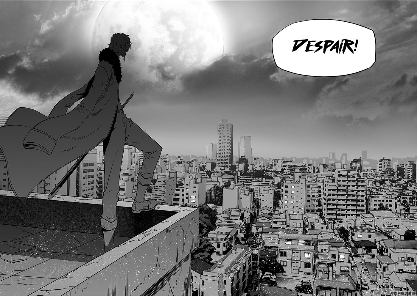 Page 13 of Chapter 161