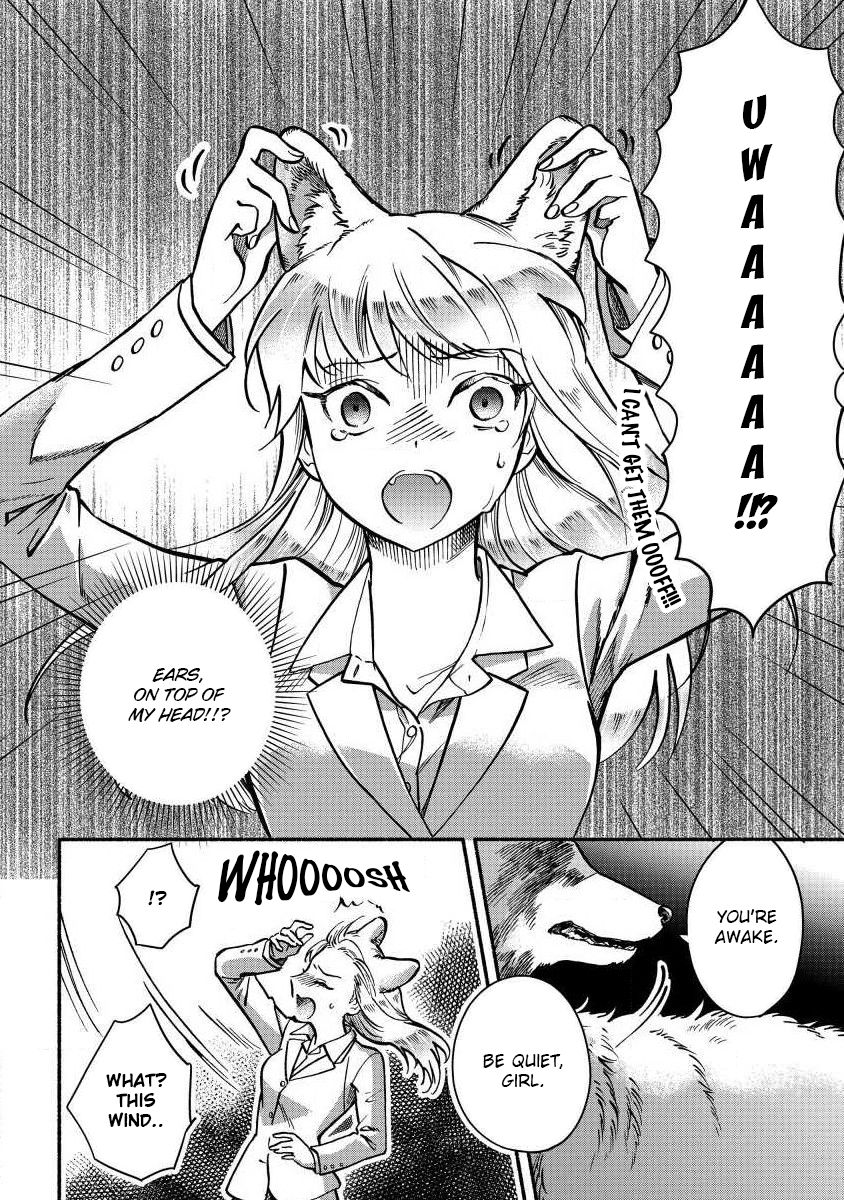 Page 20 of Chapter 1