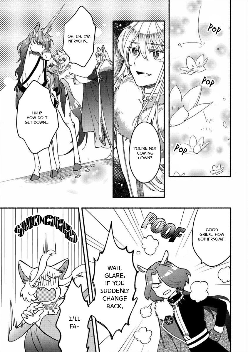 Page 17 of Chapter 21