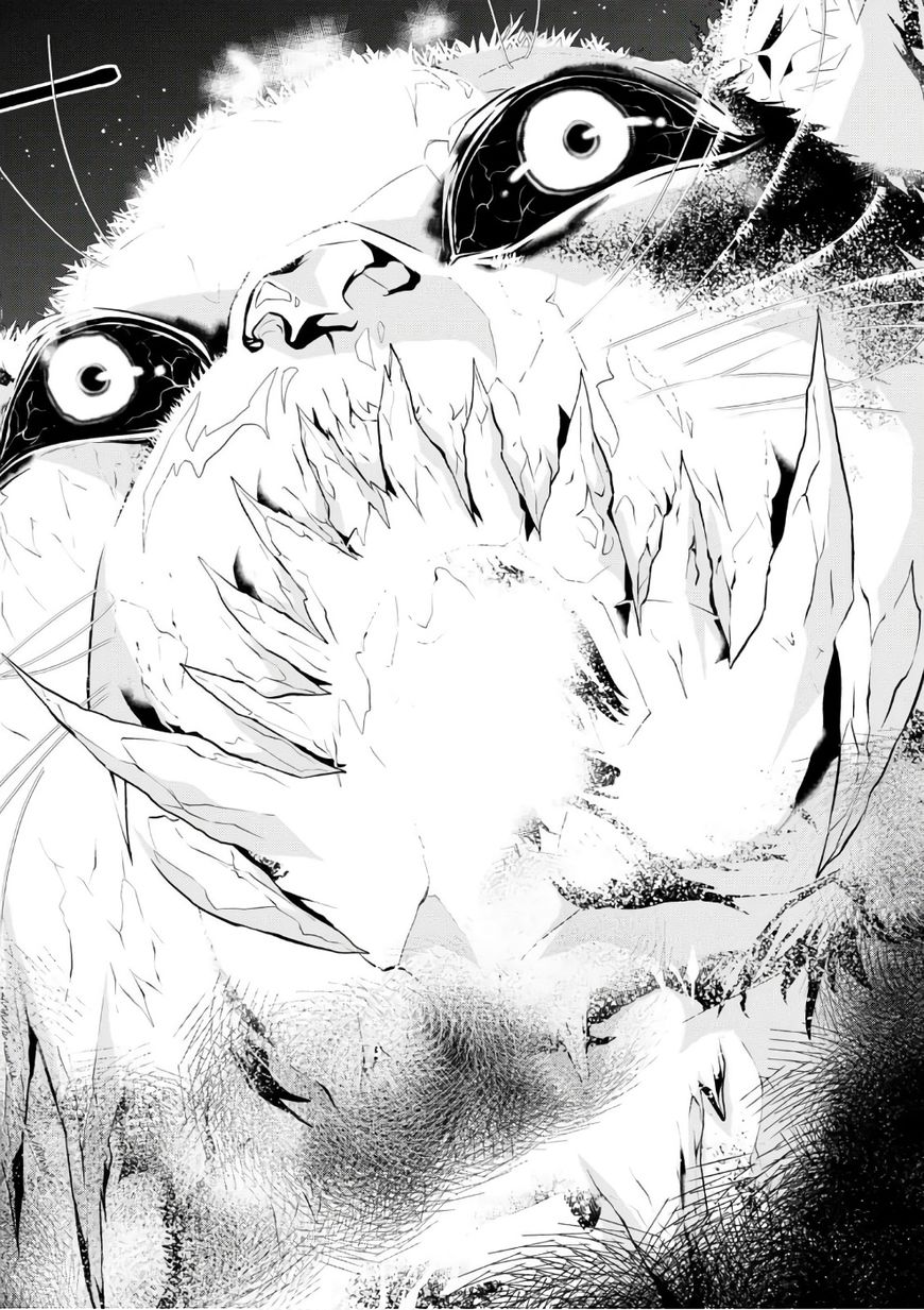 Page 25 of Chapter 11