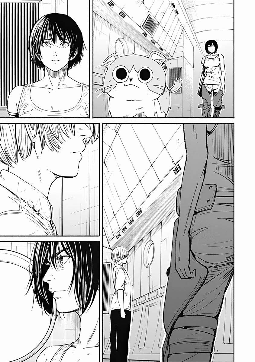 Page 5 of Chapter 17