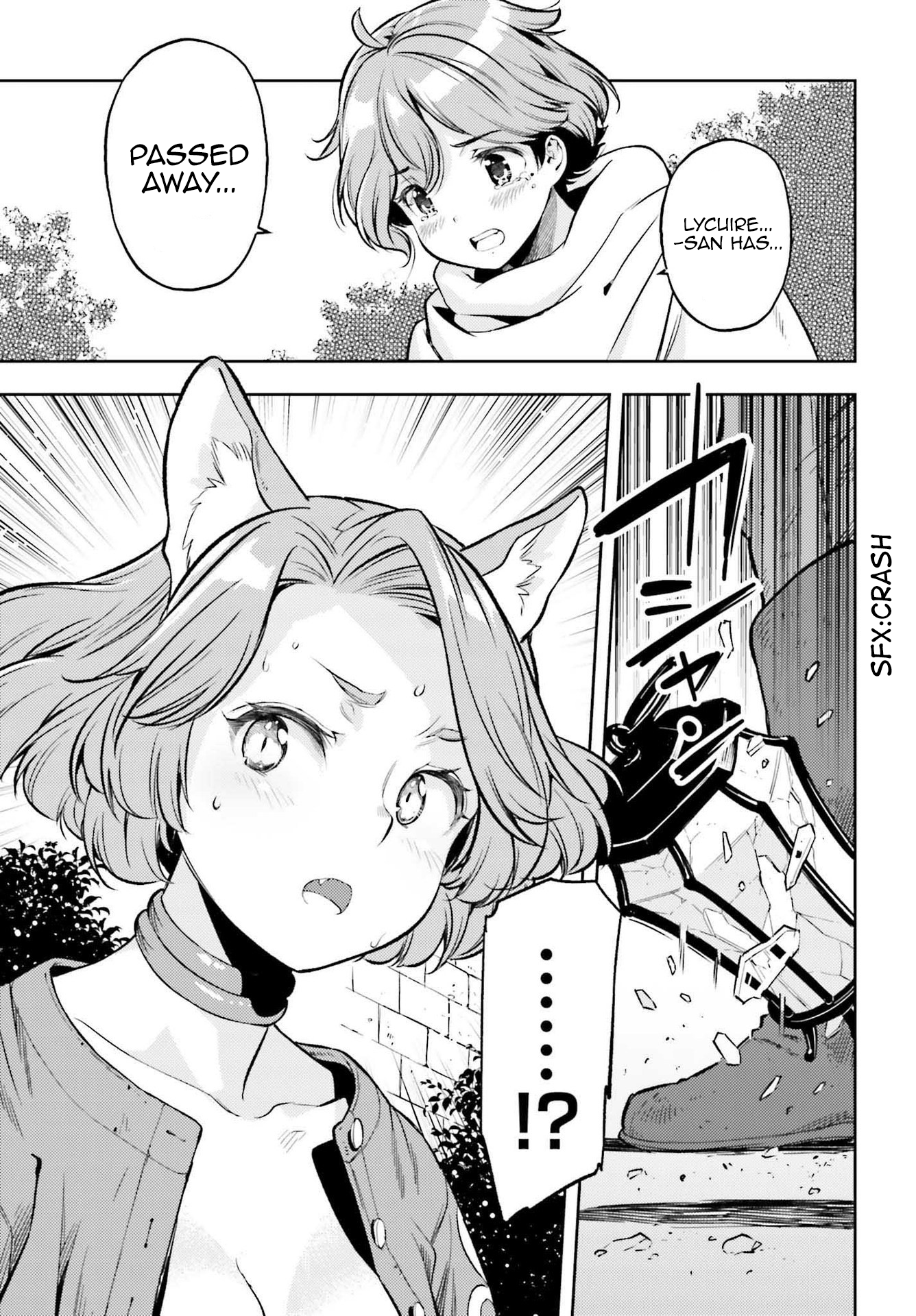 Page 13 of Chapter 12.5