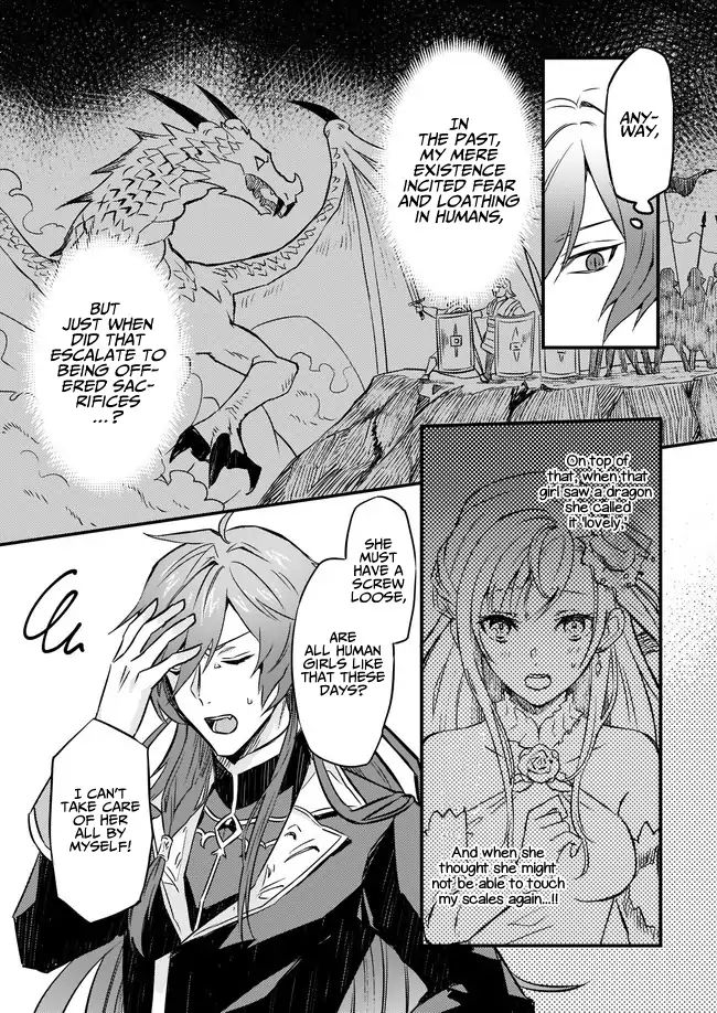 Page 20 of Chapter 2