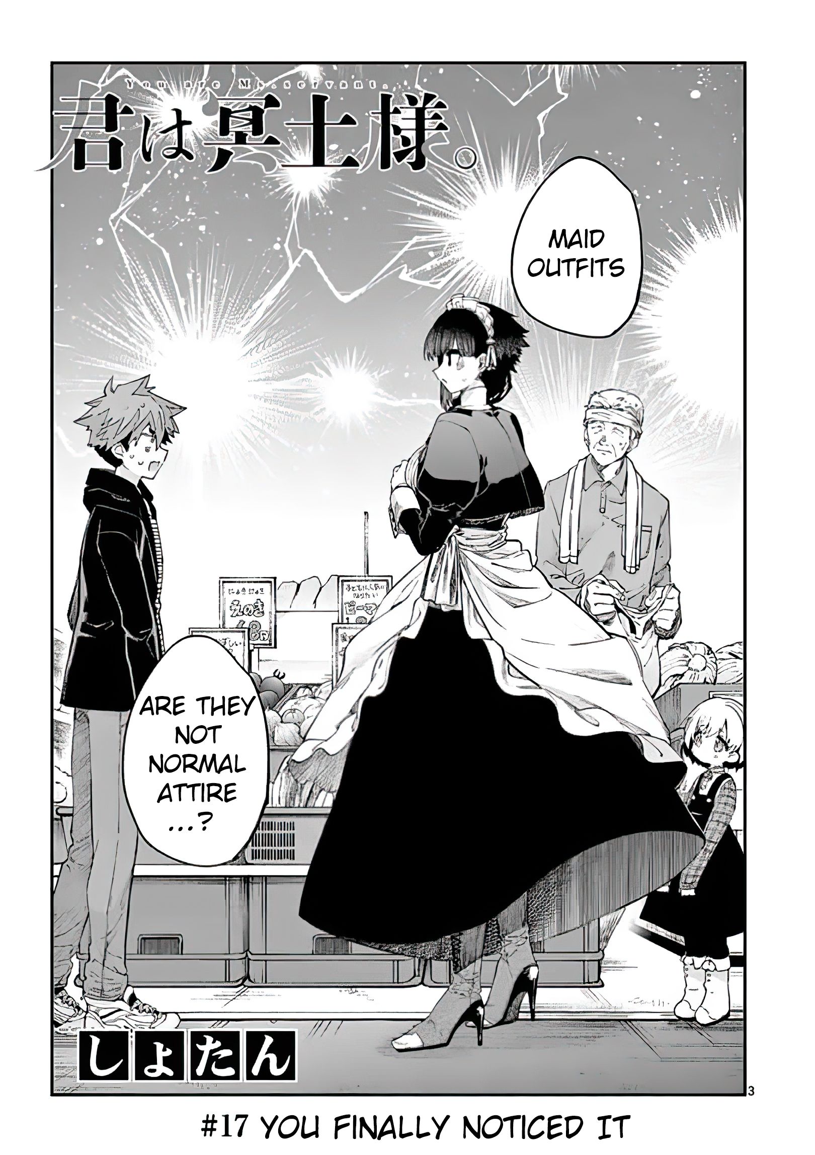 Page 3 of Chapter 17